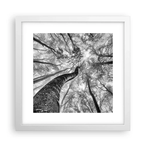 Affisch i vit ram - Kapplöpning mot ljuset - 30x30 cm