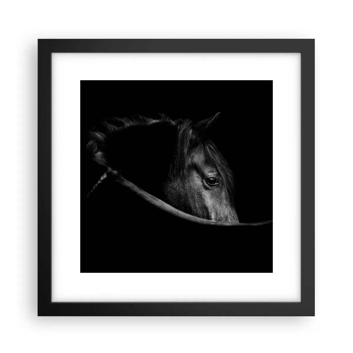Affisch i svart ram - Svart prins - 30x30 cm