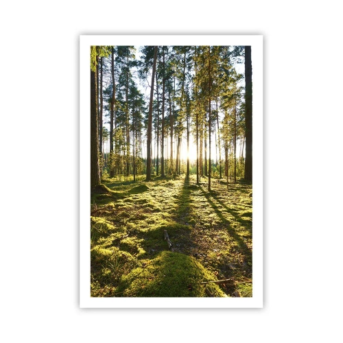 Affisch - ...Bortom sjunde skogen - 61x91 cm