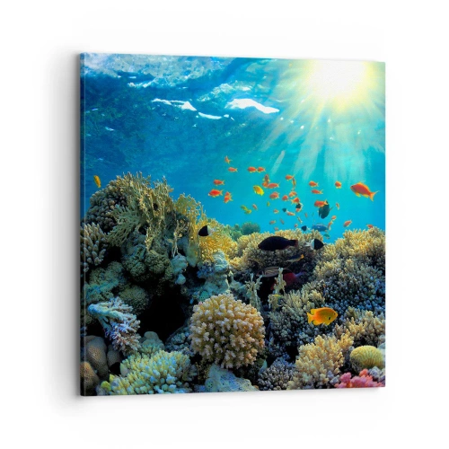 Canvastavla - Bild på duk - Undervatenskatter - 70x70 cm