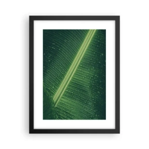 Affisch i svart ram - Grönskans struktur - 30x40 cm
