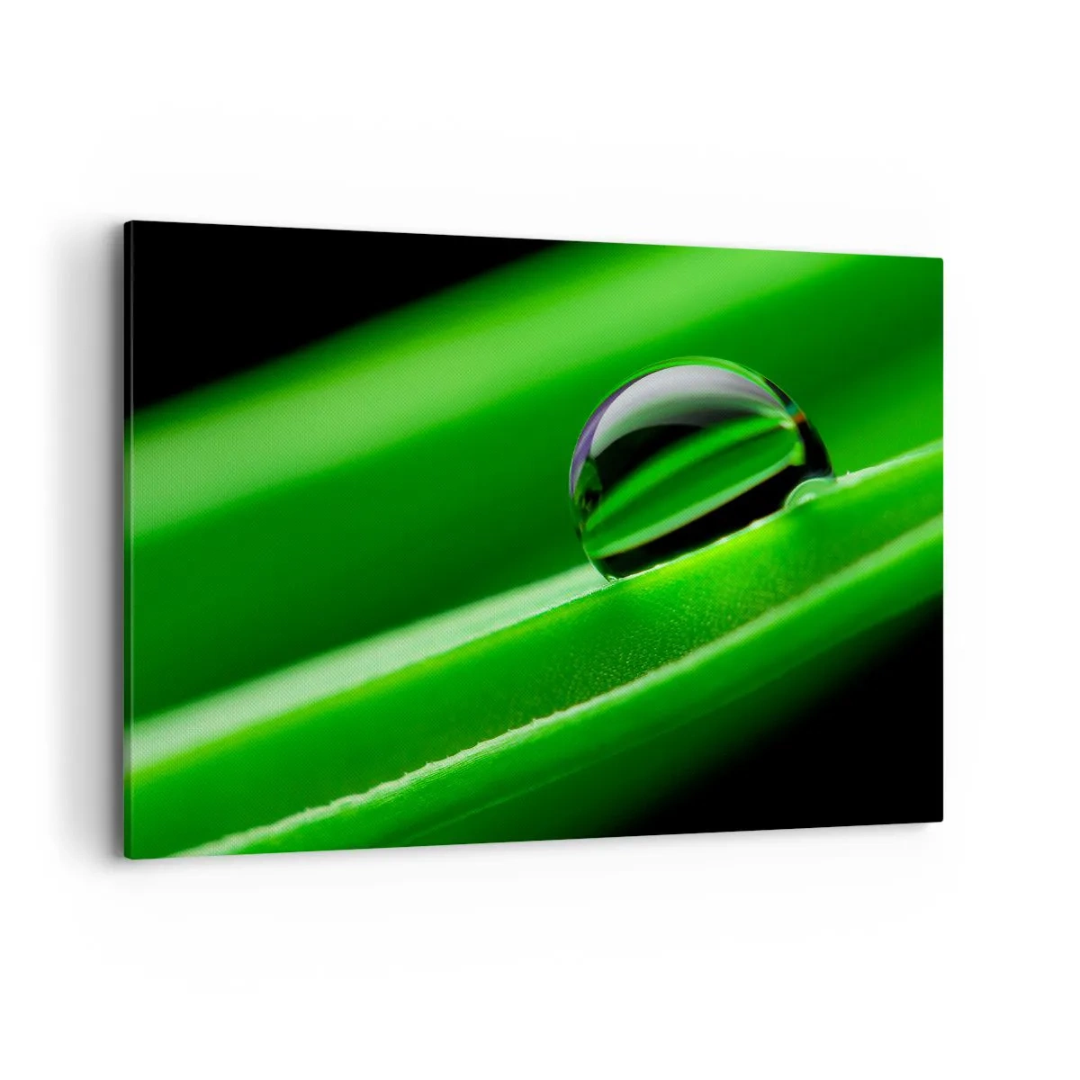 Canvastavla - Bild på duk - Livet på nära håll - 120x80 cm