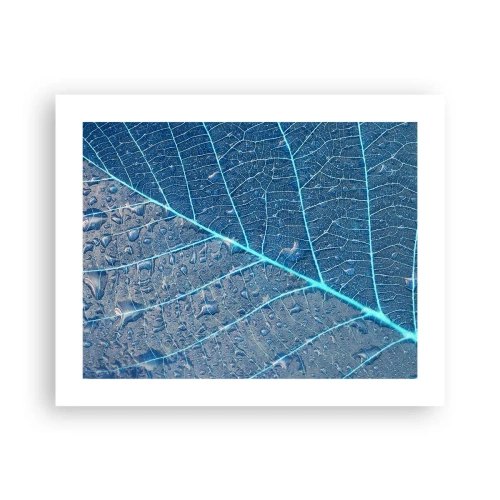 Affisch - Livet i det blåa - 50x40 cm