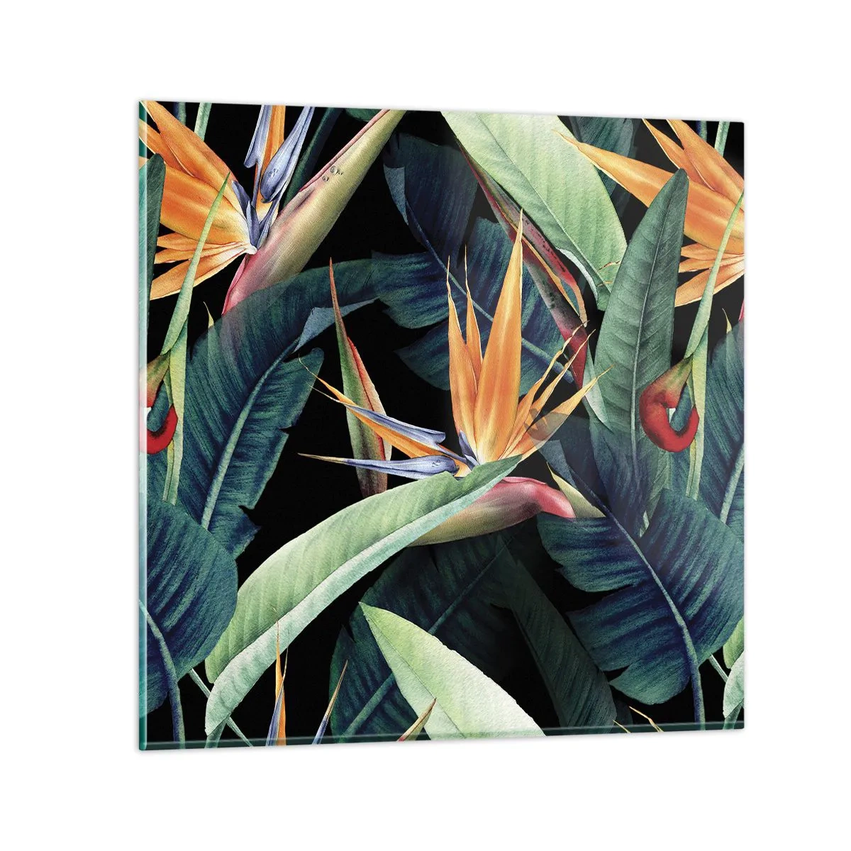 Glastavla - Bild på glas - Tropikens brinnande blommor - 50x50 cm