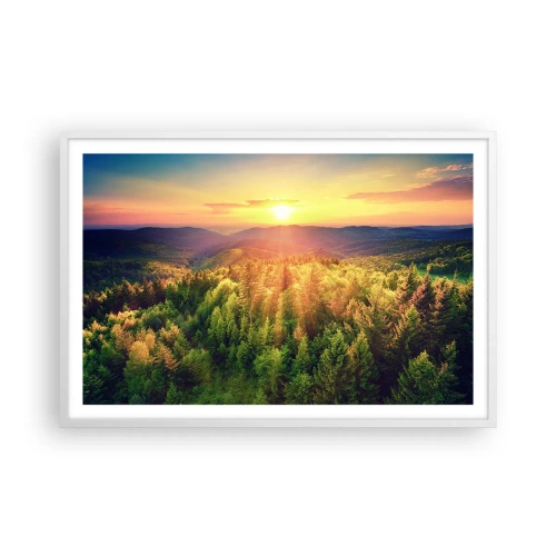 Affisch i vit ram - Trädtoppar och bergstoppar - 91x61 cm