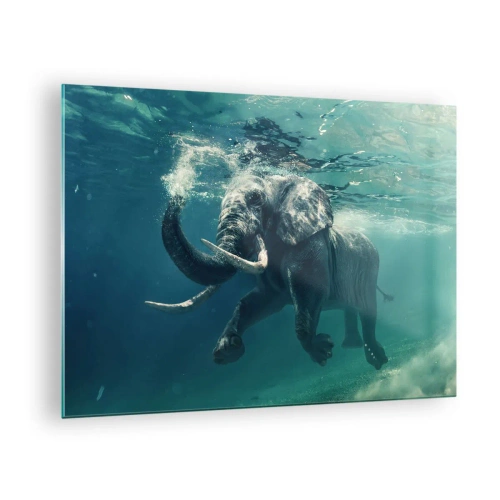 Glastavla - Bild på glas - En elefant som simmar under vattnet i det blå havet - 70x50cm - Alla tycker om att simma - Modern väggdekoration för vardagsrum och sovrum ARTTOR