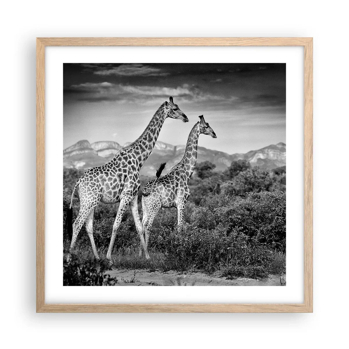 Affisch i ram av ljusek - Högre klasser i Afrika - 50x50 cm