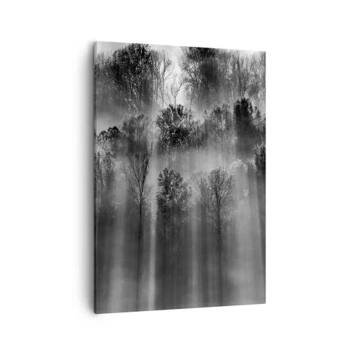 Canvastavla - Bild på duk - I ljusstrålar - 50x70 cm