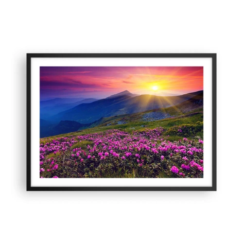 Affisch i svart ram - … Bergtallen doftar och örterna luktar runt omkring - 70x50 cm