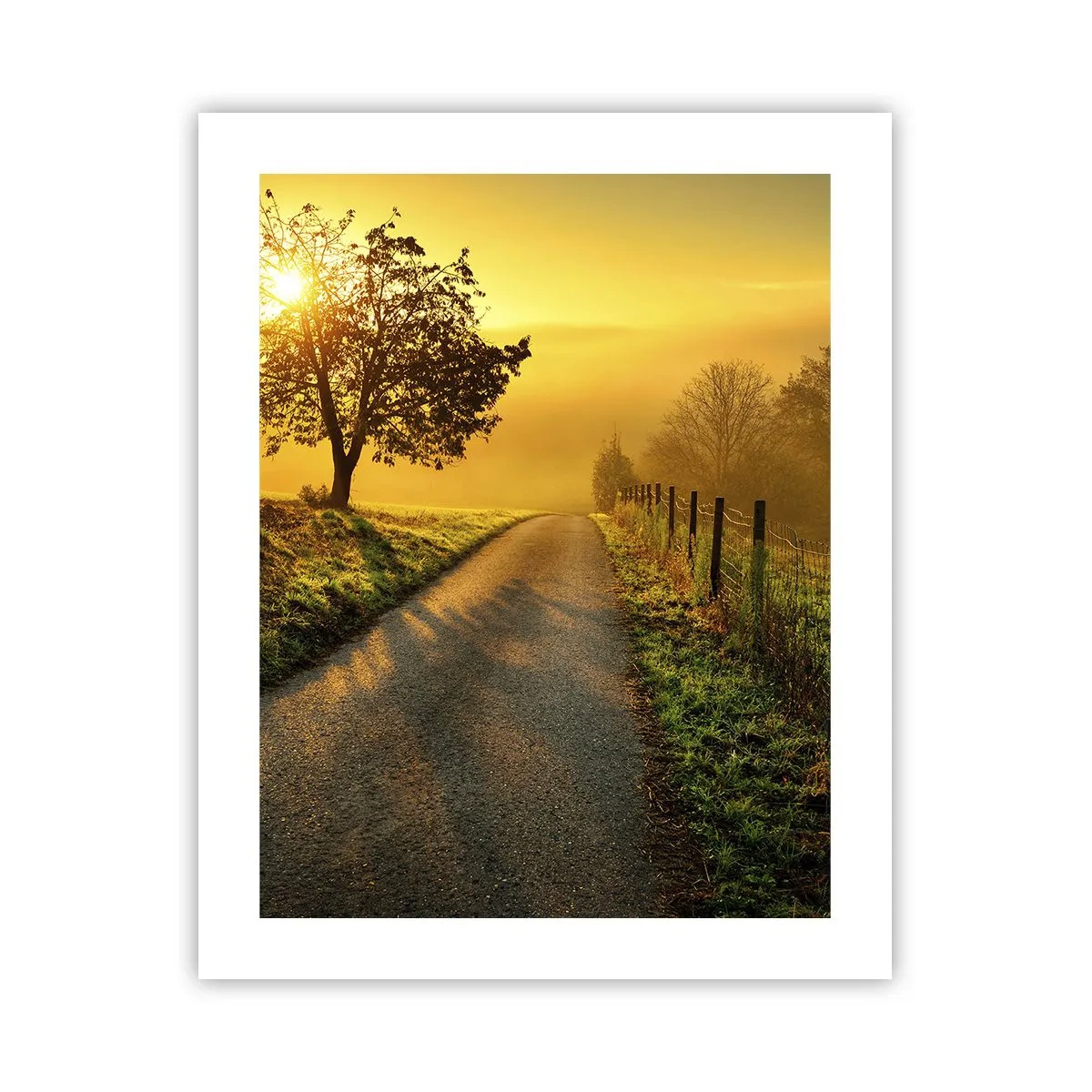 Affisch - Honungfärgad eftermiddag - 40x50 cm