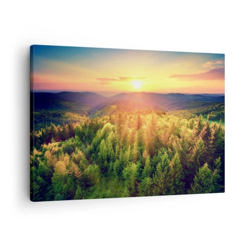 Canvastavla - Bild på duk - Skogslandskap med solnedgång över kullarna - 70x50cm - Trädtoppar och bergstoppar - Modern väggdekoration för vardagsrum och sovrum ARTTOR
