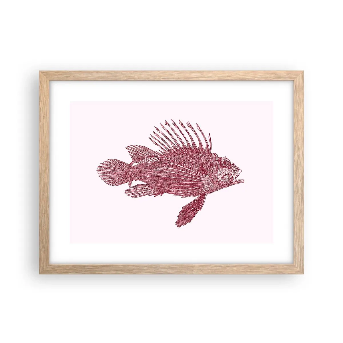 Affisch i ram av ljusek - En invånare i exotiska vatten - 40x30 cm