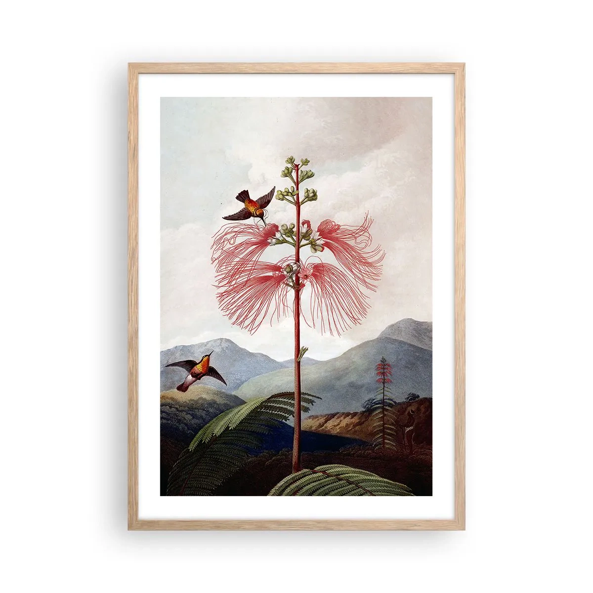 Affisch i ram av ljusek - I ett tropiskt paradis - 50x70 cm