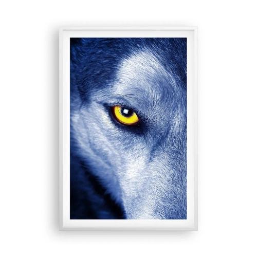 Affisch i vit ram - Hypnotiserade titt - 61x91 cm