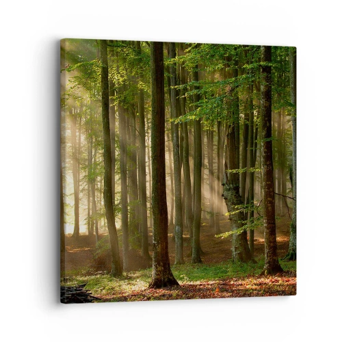 Canvastavla - Bild på duk - Utstrålande på en vårmorgon - 30x30 cm