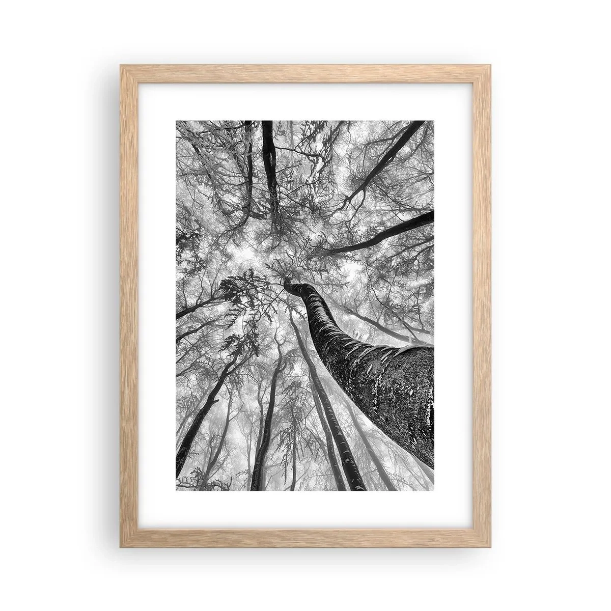 Affisch i ram av ljusek - Kapplöpning mot ljuset - 30x40 cm