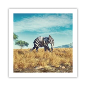 Affisch - Grått är ute - 50x50 cm