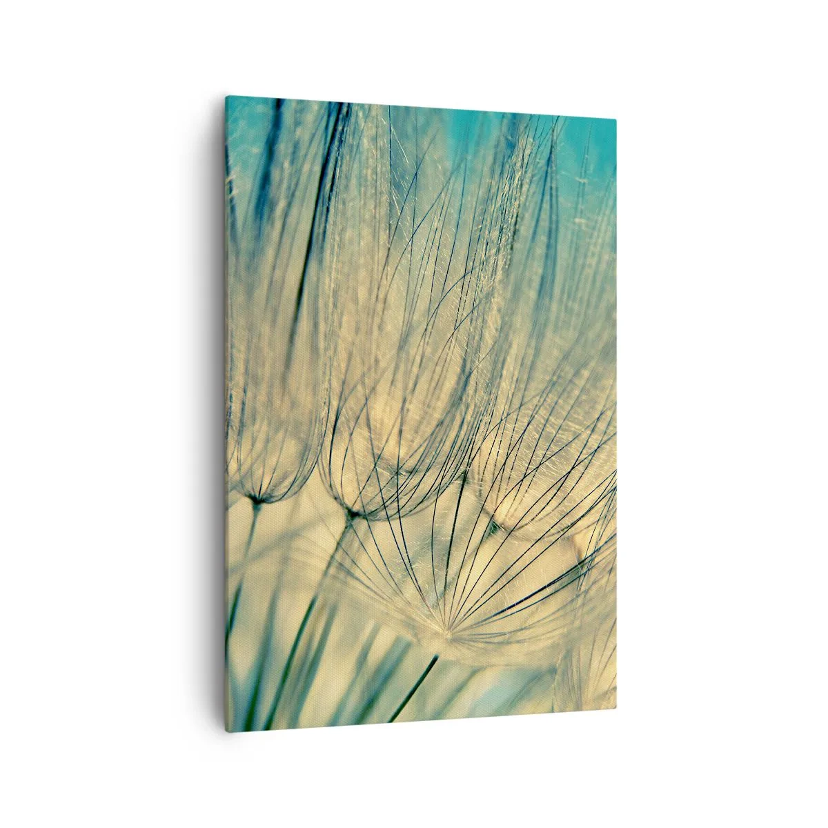 Canvastavla - Bild på duk - I väntan på vinden - 70x100 cm