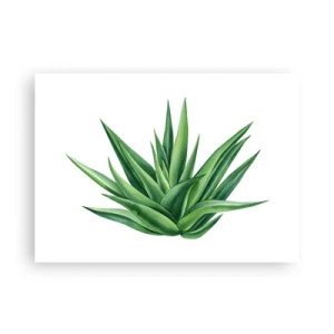 Affisch - Grönt - styrka - liv - 70x50 cm