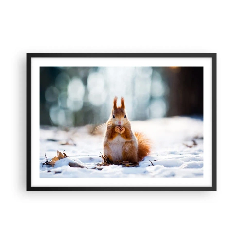 Affisch i svart ram - Vad glor du på? - 70x50 cm