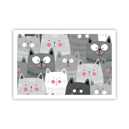 Affisch - Katternas värld - 91x61 cm