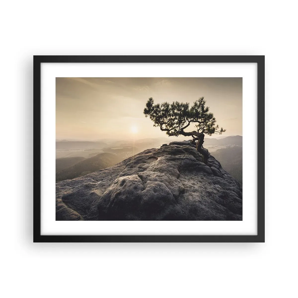 Affisch i svart ram - Livet vinner alltid - 50x40 cm