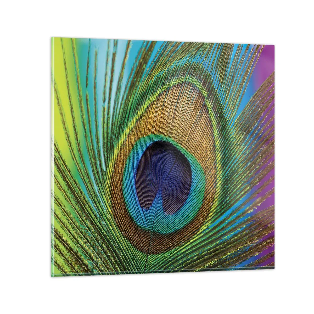 Glastavla - Bild på glas - Öga mot öga - 70x70 cm