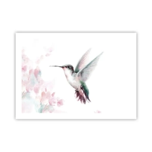 Affisch - Fångad flaxande - 70x50 cm