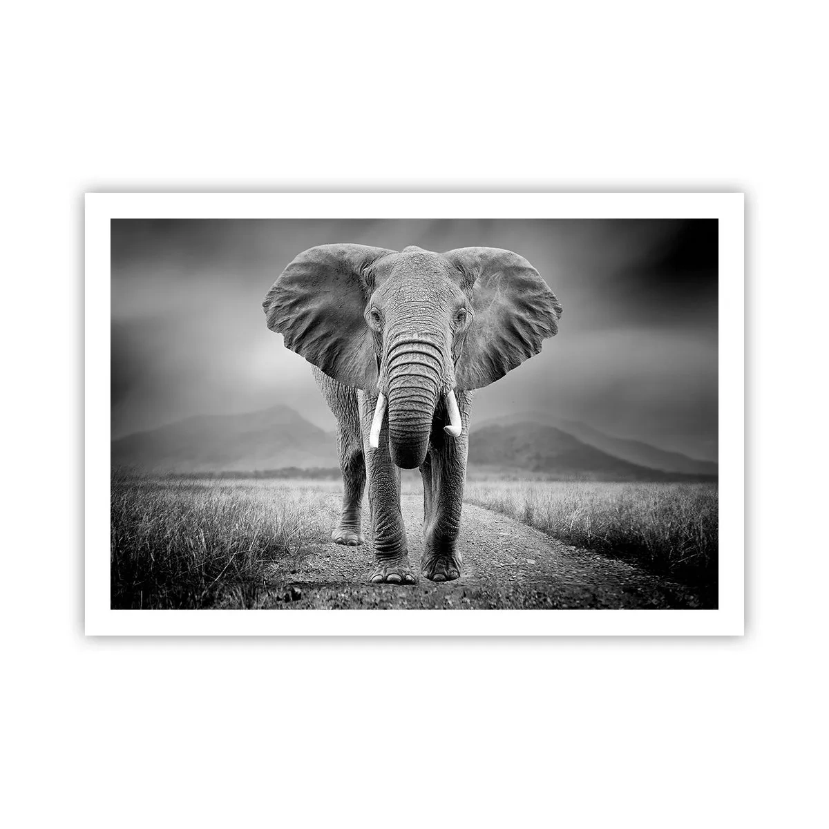 Affisch - Värden hälsar välkommen - 91x61 cm