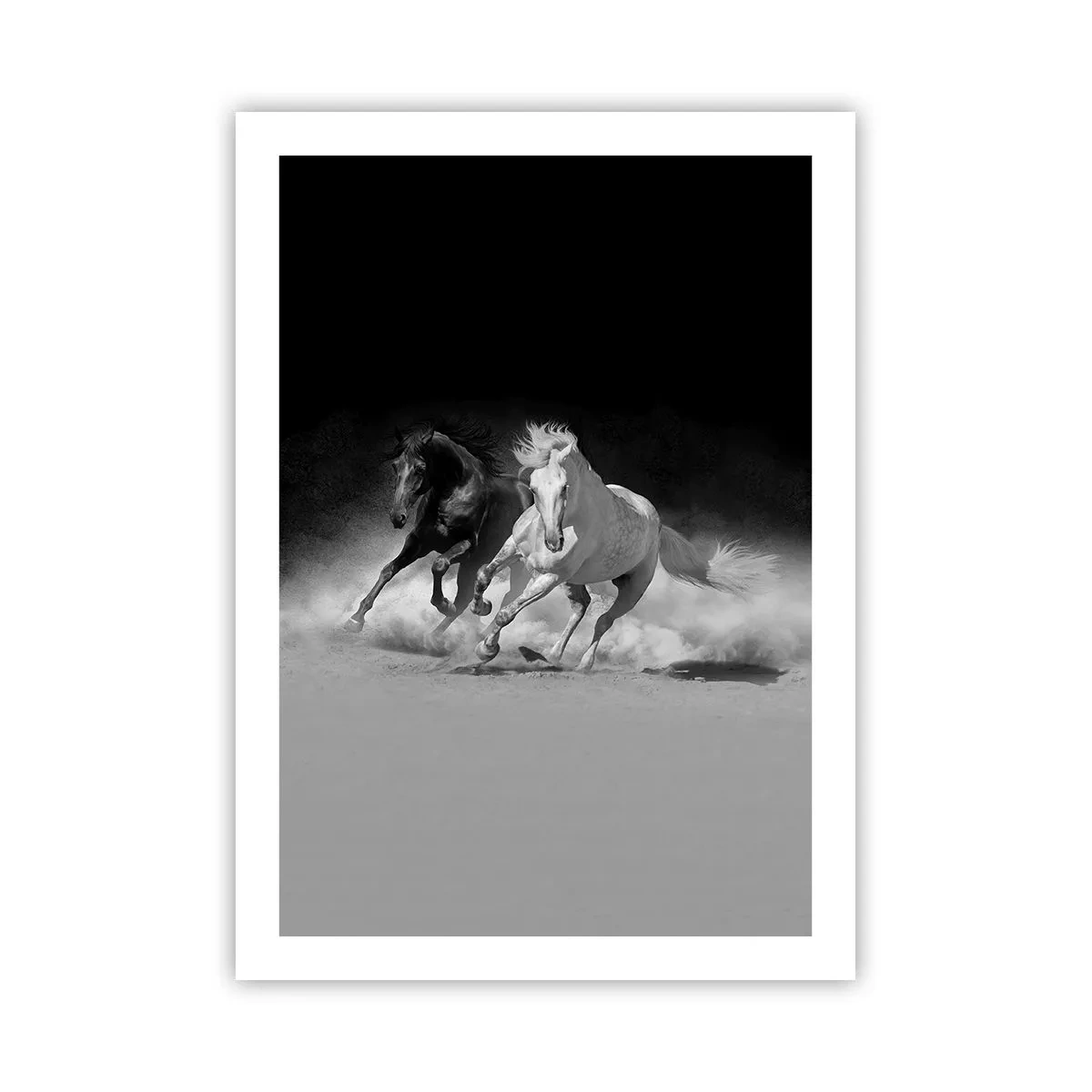 Affisch - Frihetens galopp - 50x70 cm