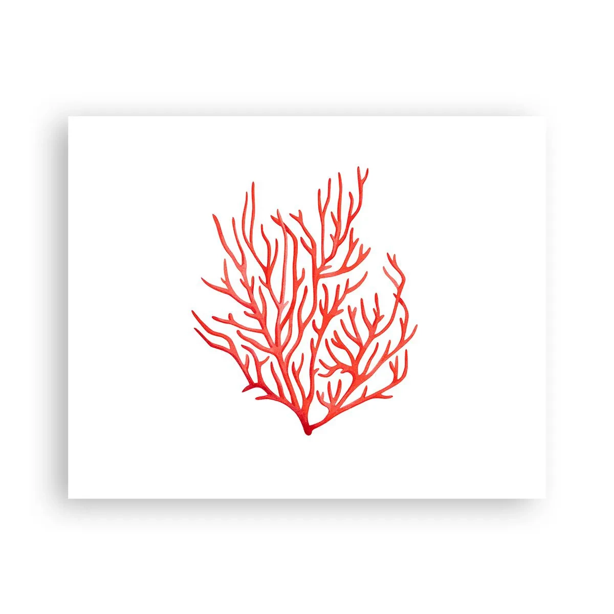 Affisch - Filigran av korall - 50x40 cm