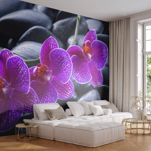 Fototapet Premium Sand - Stenarna har bleknat av beundran - Blommor, Stenar, Orkide - 100x70 cm
