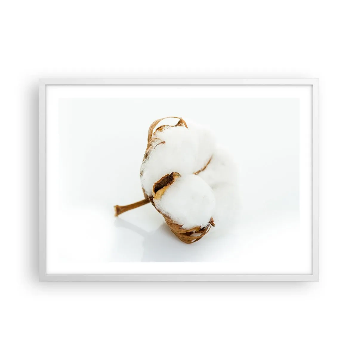 Affisch i vit ram - Mjuk av naturen - 70x50 cm