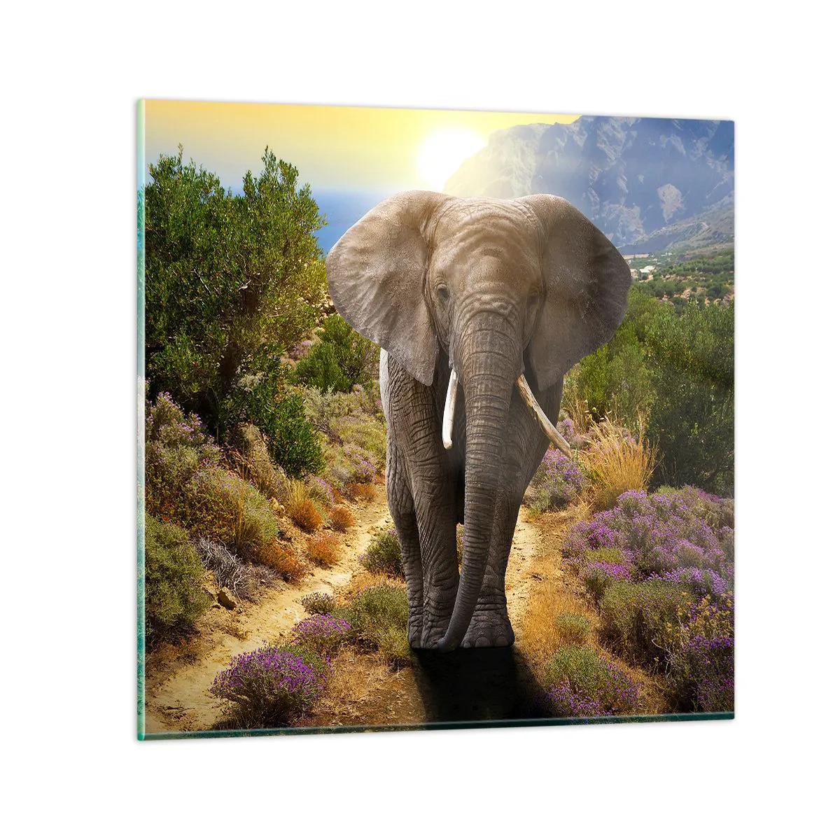 Glastavla - Bild på glas - Så såg Edens trädgård ut - 40x40 cm