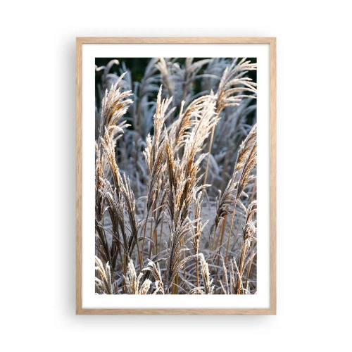 Affisch i ram av ljusek - Frostprydda - 50x70 cm
