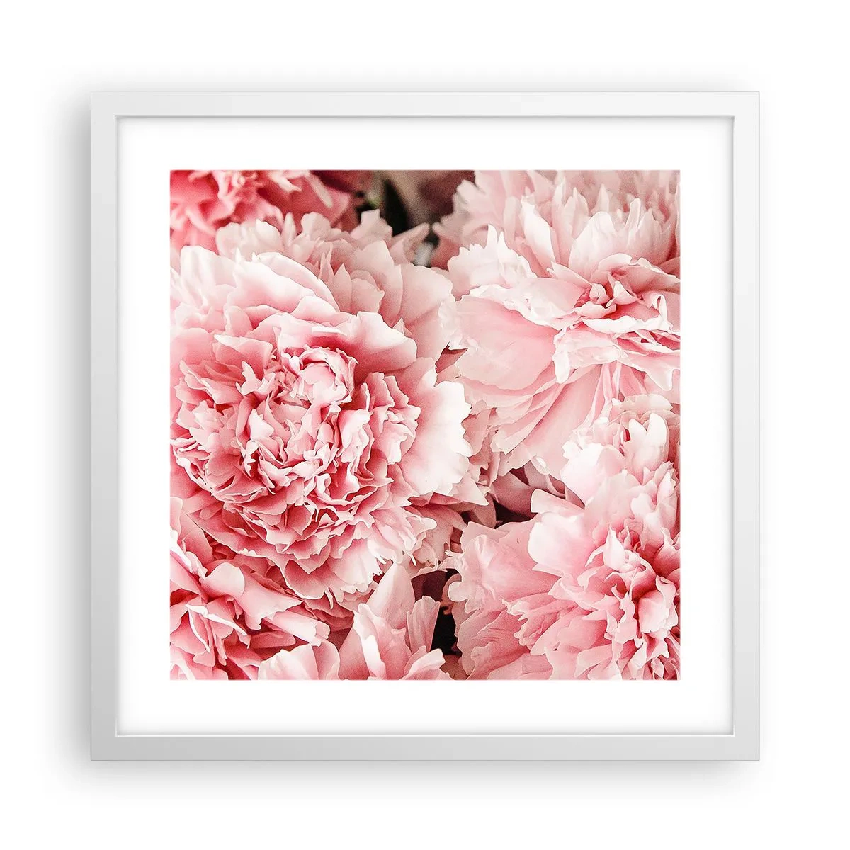 Affisch i vit ram - Rosa dröm - 40x40 cm