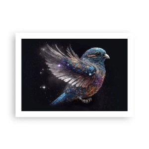 Affisch - Diamant sparv - 70x50 cm