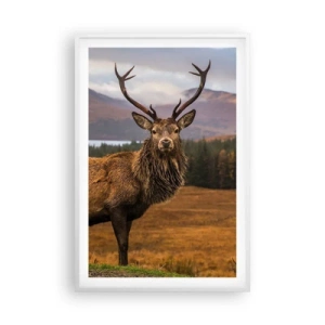 Affisch i vit ram - Naturens majestät - 61x91 cm
