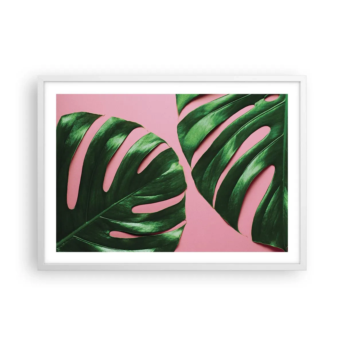Affisch i vit ram - Grön rendez-vous - 70x50 cm