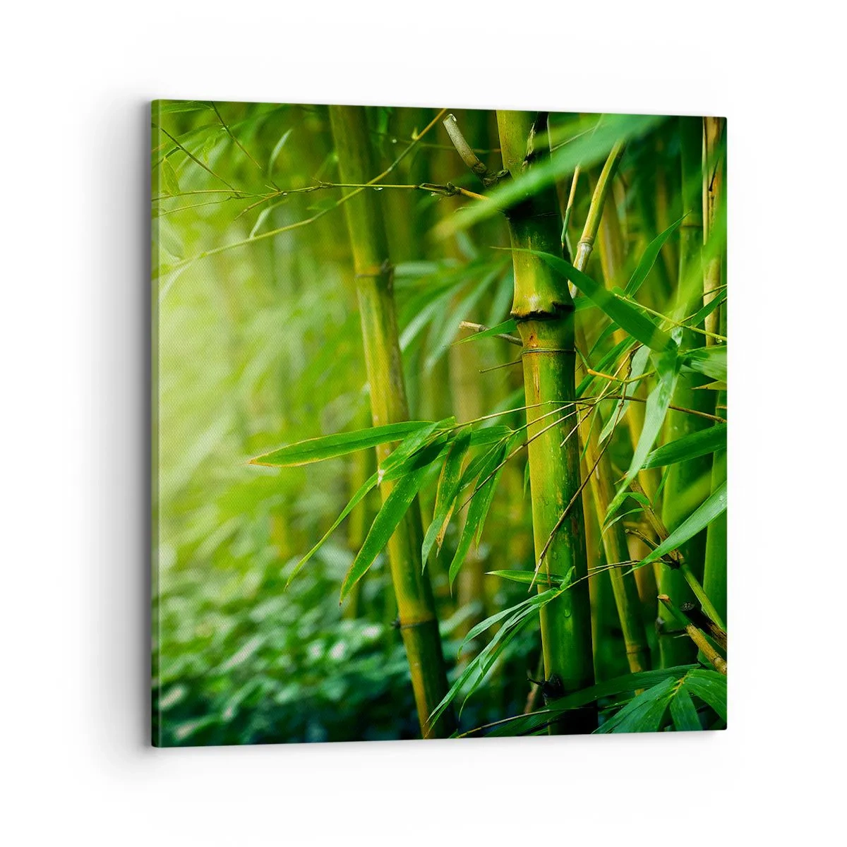 Canvastavla - Bild på duk - Lär känna grönskan i sig - 70x70 cm