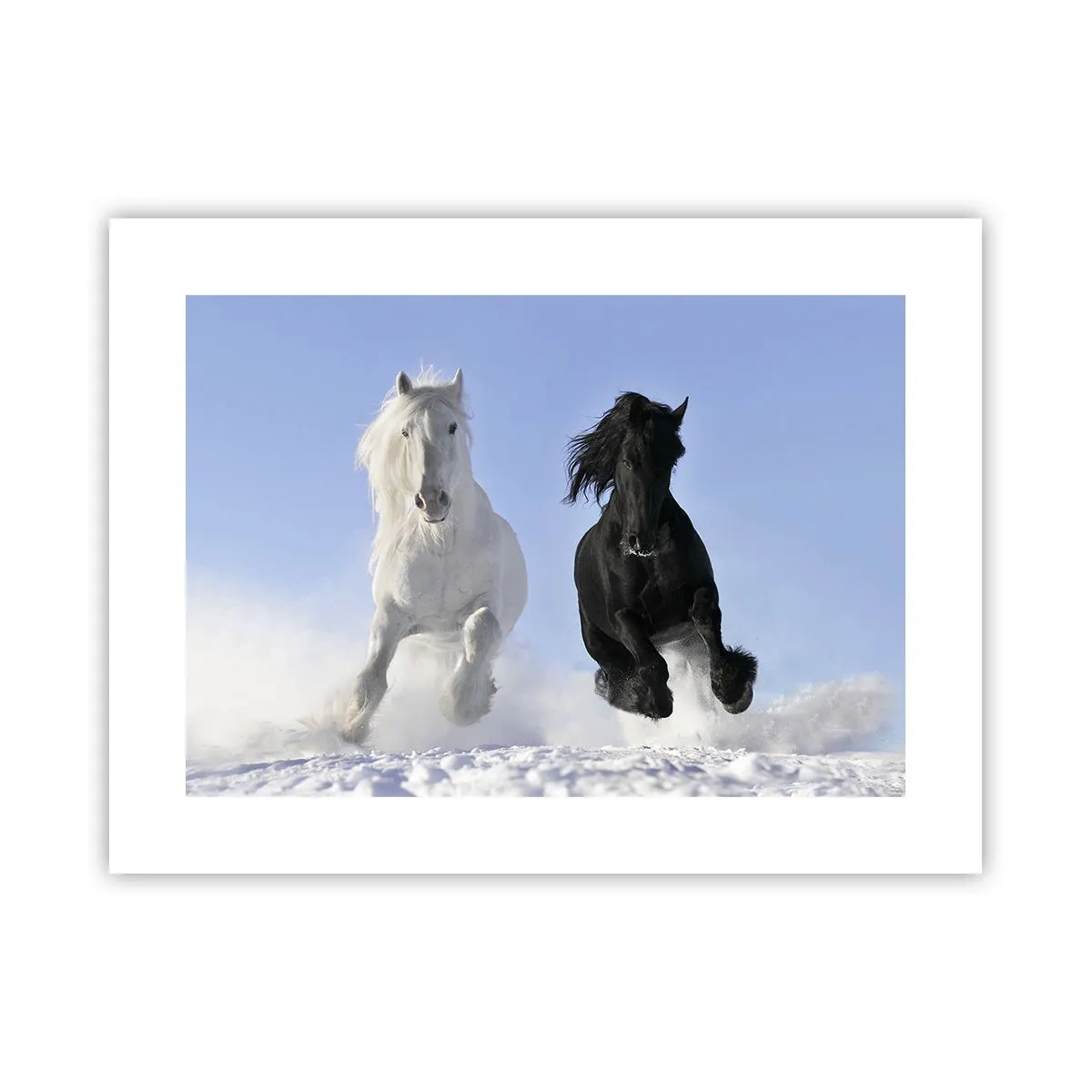 Affisch - Svart-vit galopp - 40x30 cm
