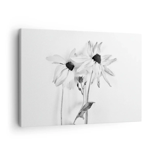 Canvastavla - Bild på duk - Svartvita blommor med en subtil komposition - 70x50cm - Ingen vill vara ensam - Modern väggdekoration för vardagsrum och sovrum ARTTOR