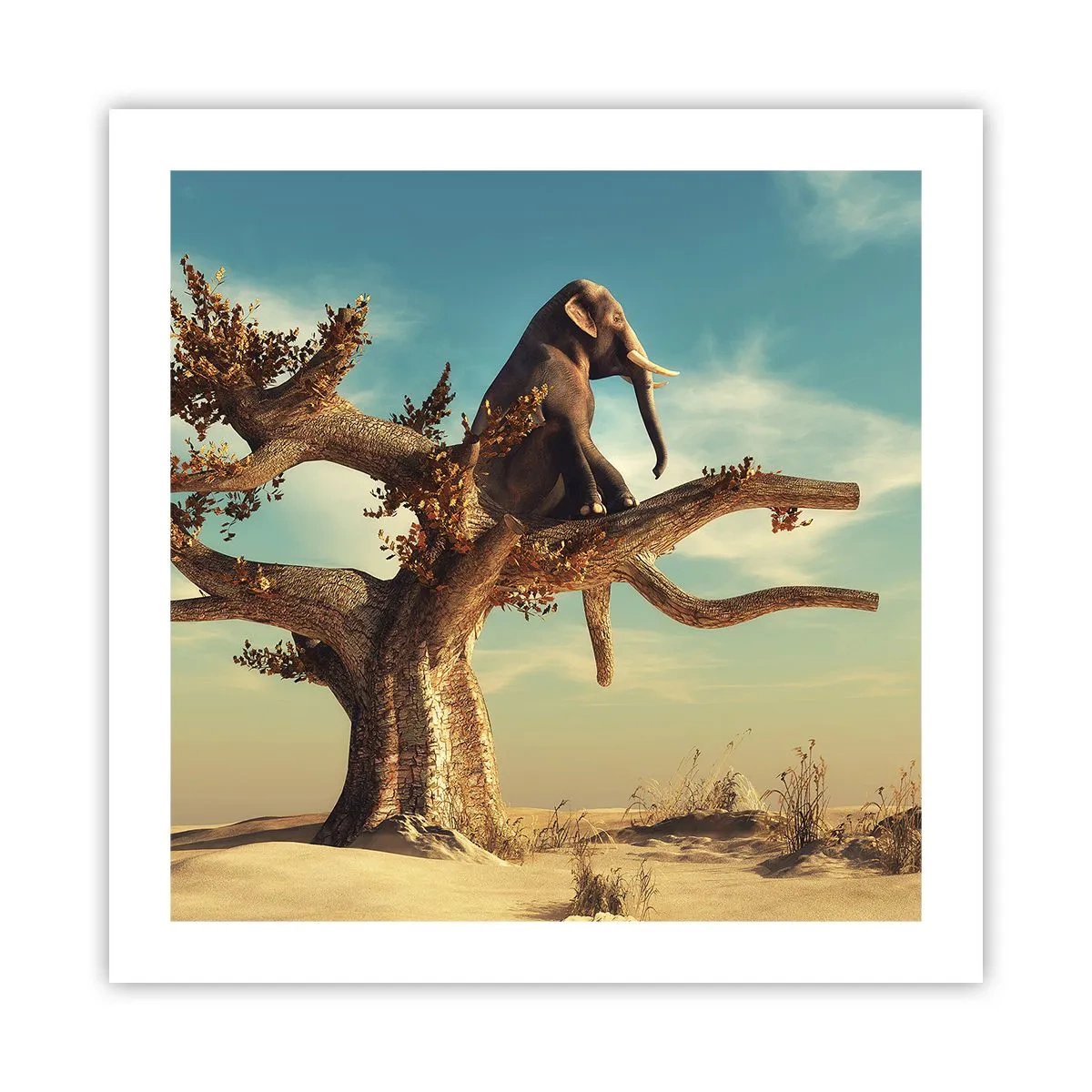 Affisch - Ny synvinkel - 50x50 cm