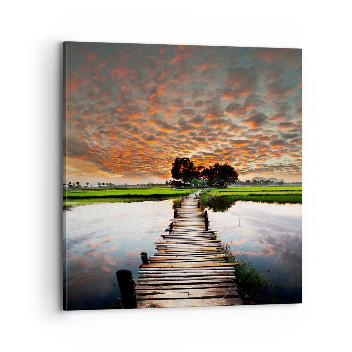 Canvastavla - Bild på duk - Fäll ut armarna - andas  - 70x70 cm