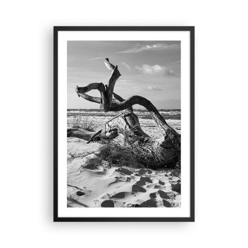 Affisch i svart ram - Svartvitt fotografi av ett torrt träd på stranden - 50x70cm - Havets skulptur - Modern väggdekoration för vardagsrum och sovrum ARTTOR