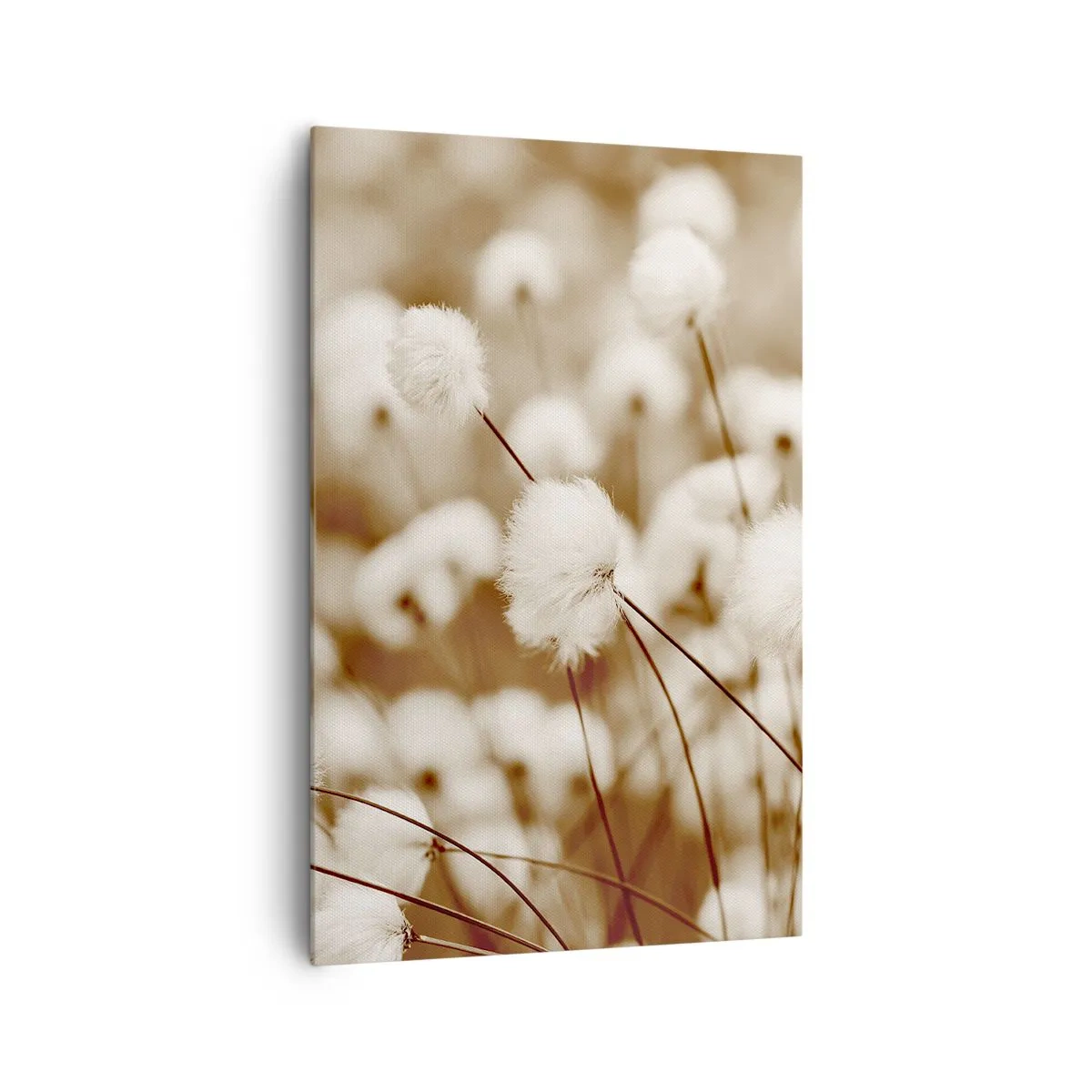 Canvastavla - Bild på duk - Fluffig åkermark - 80x120 cm