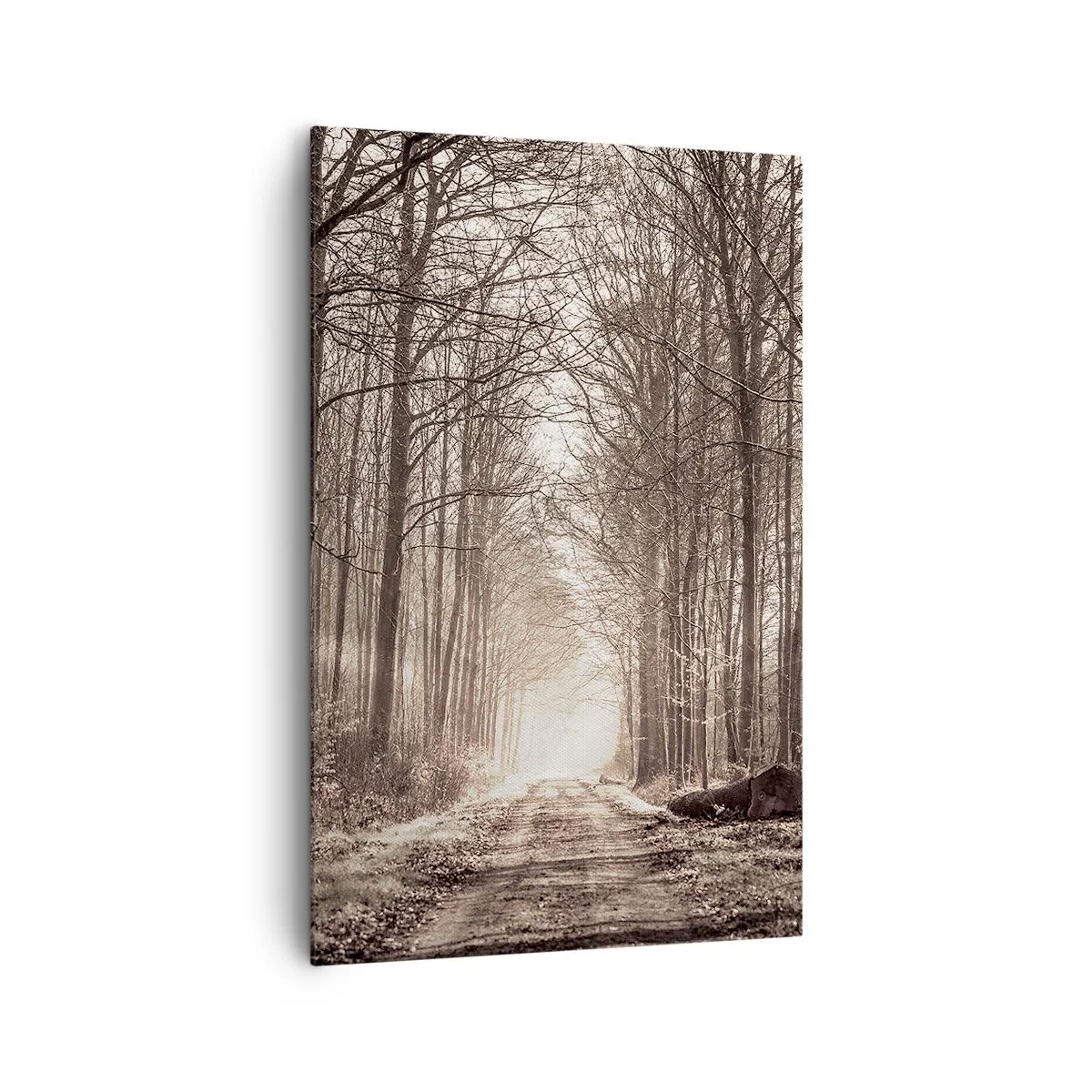 Canvastavla - Bild på duk - Skogens domkyrka - 80x120 cm