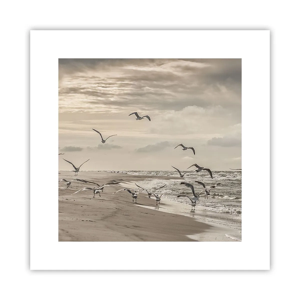 Affisch - Havets brus, fågelsång - 30x30 cm