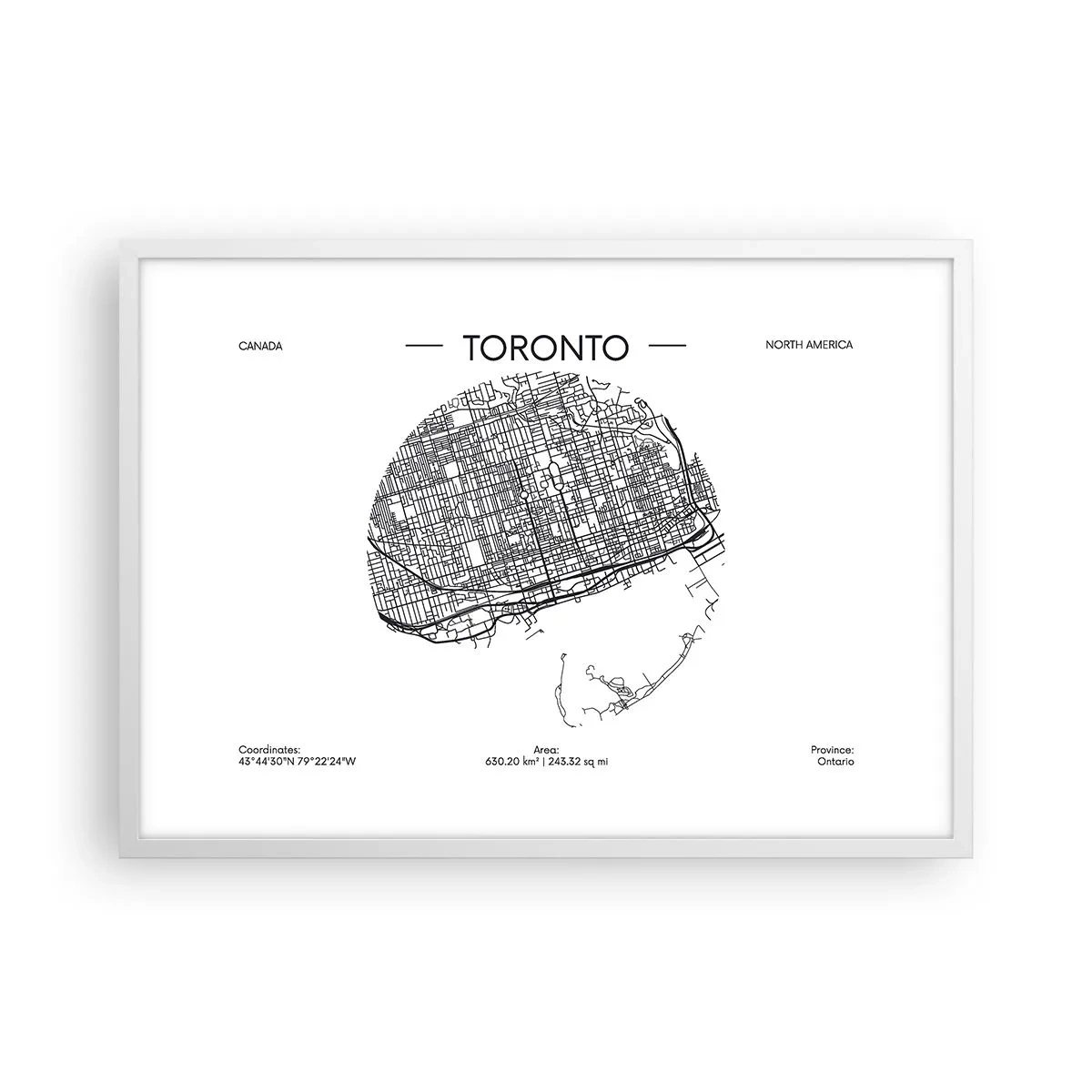 Affisch i vit ram - Torontos anatomi - 70x50 cm