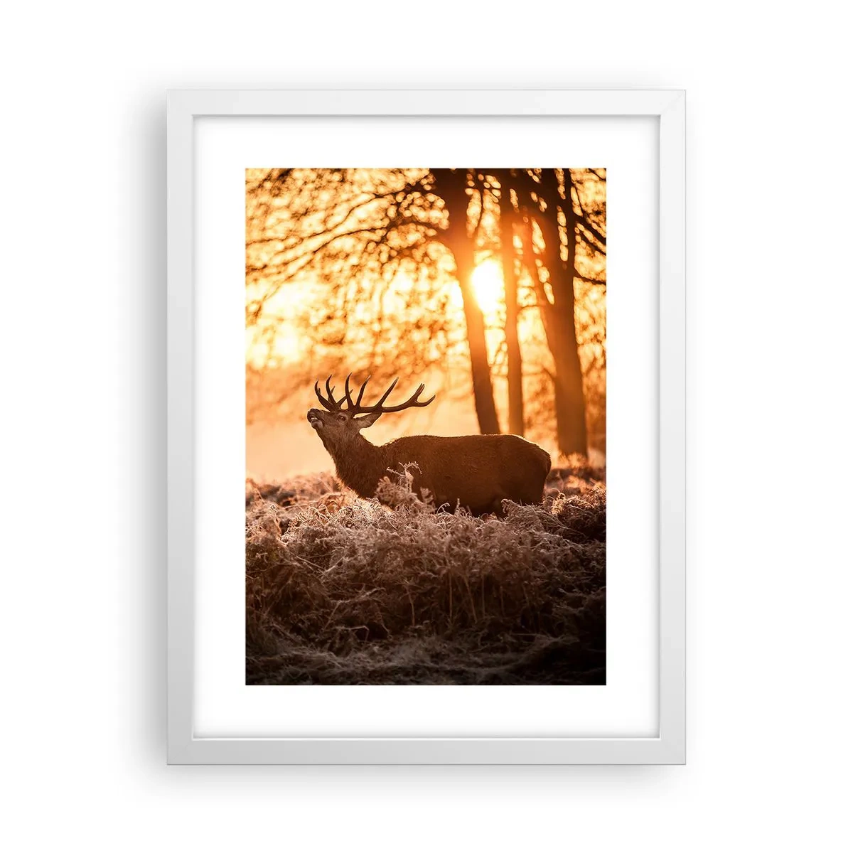 Affisch i vit ram - Jägarens dröm - 30x40 cm